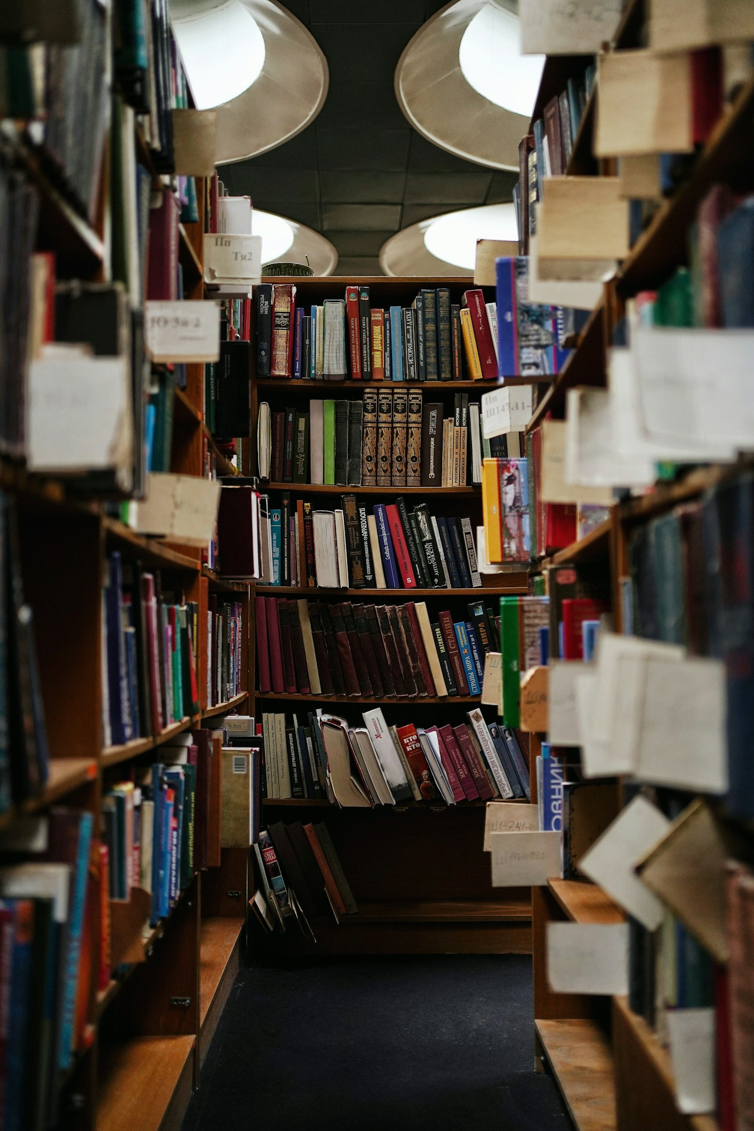 Behind the Scenes: Writing a Novel